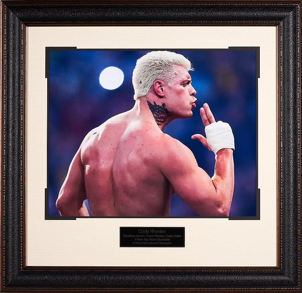 Cody Rhodes World Wrestling Entertainment 16