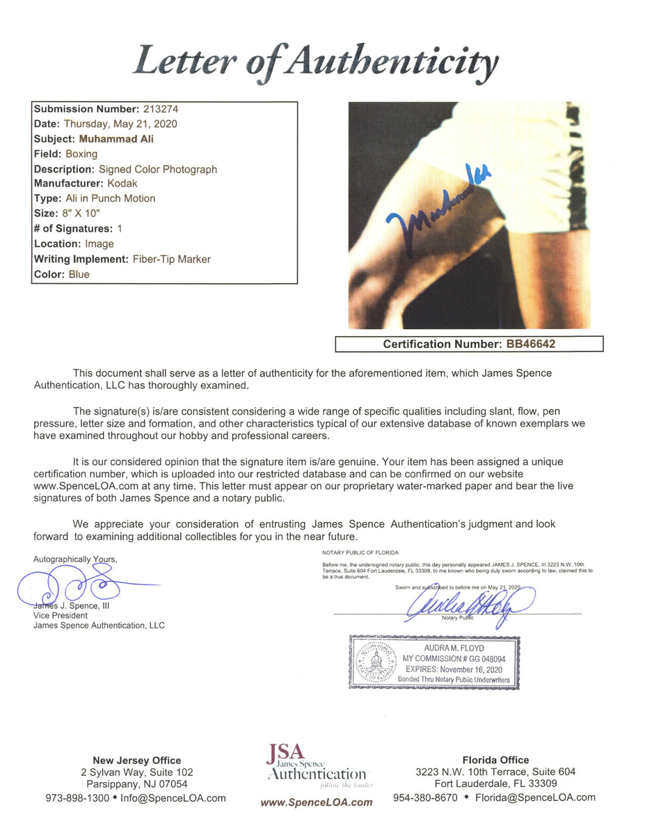 Muhammad Ali “Training” Autograph Framed JSA Authentication ...